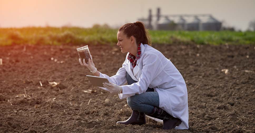Engenheira ambiental analisa amostra de terra para avaliar a qualidade do solo