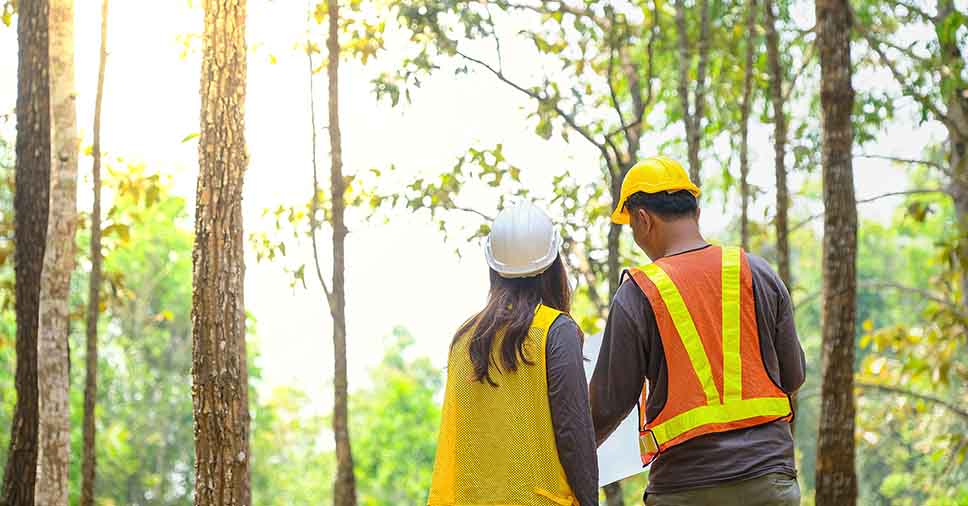 Dois engenheiros ambientais no meio da floresta realizando o serviço de consultoria ambiental