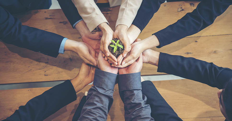 Conheça 5 formas de implementar o consumo consciente na empresa