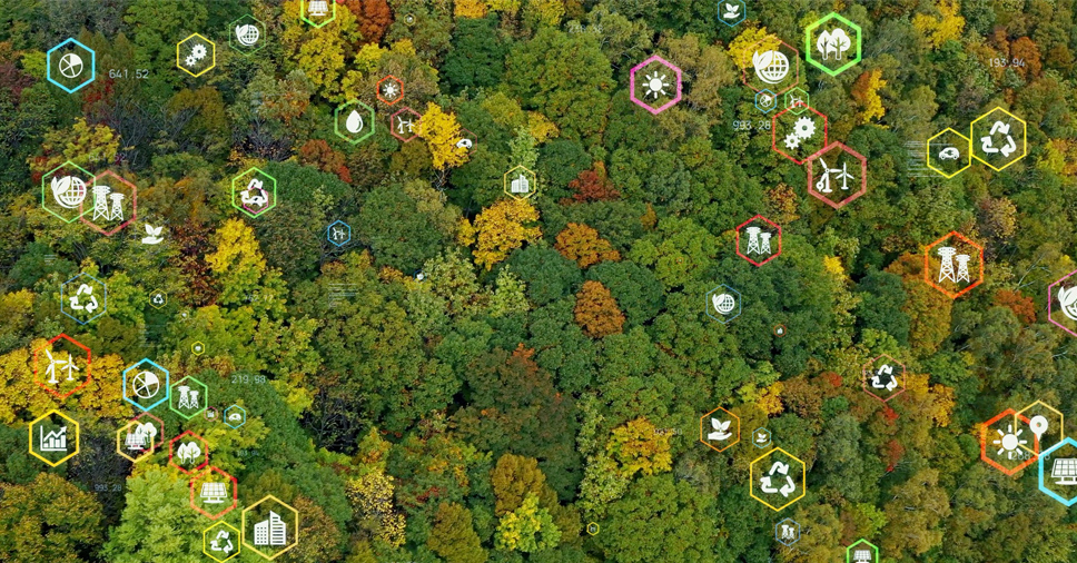 Monitoramento Ambiental Qual Importancia Para Sua Empresa